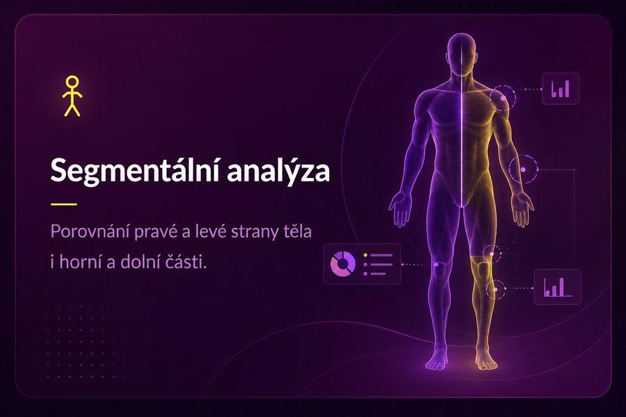 Segmentální analýza – porovnání pravé a levé strany těla i horní a dolní části