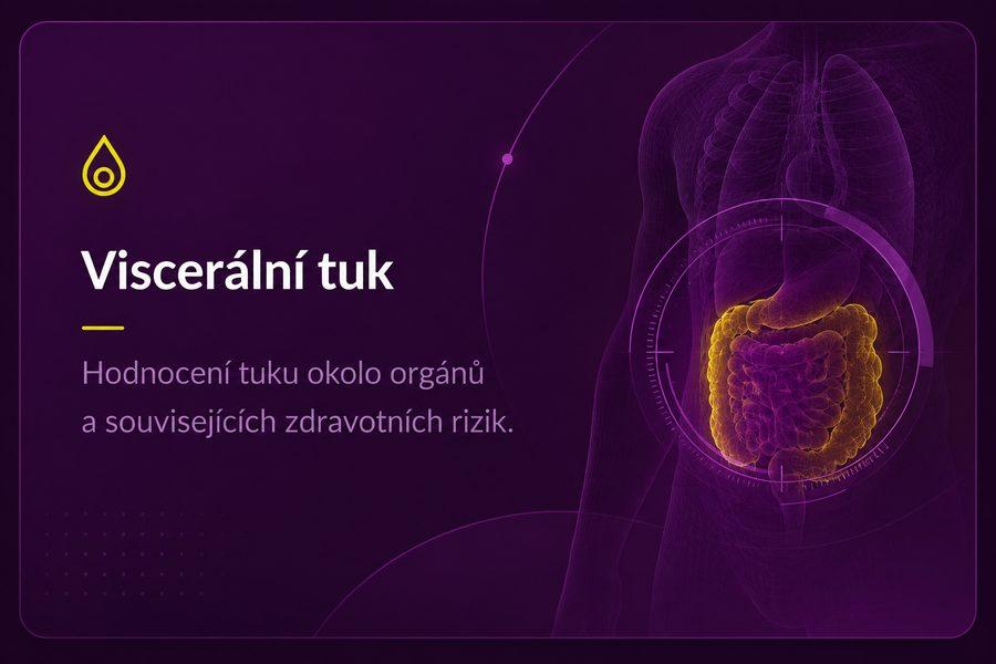 Viscerální tuk – hodnocení tuku okolo orgánů a souvisejících zdravotních rizik